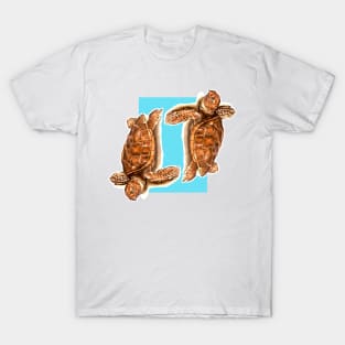 Turtles Drawing T-Shirt